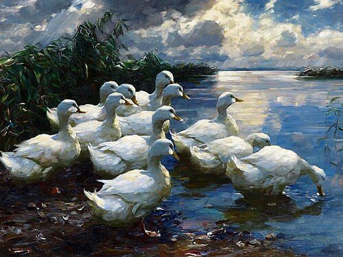 Enten am Ufer des Bodensees., 1932, Alexander Koester