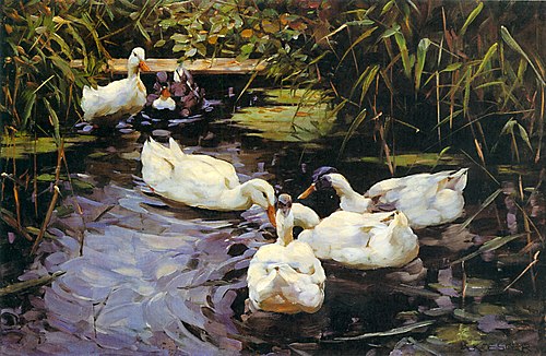 Enten auf einem Schilfteich, 1890, Alexander Koester