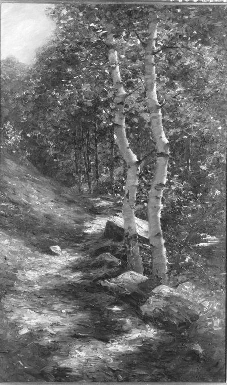 Birken in der Sonne (Waldweg), 1907, Alexander Koester