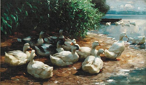 Ducks at Lakeshore, , Alexander Koester