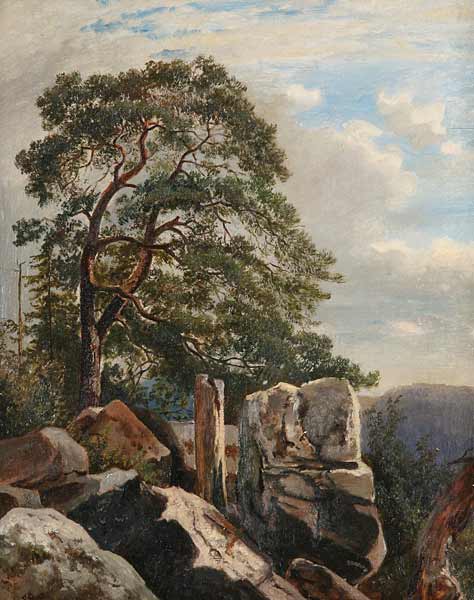 Pine Trees in a Rocky Landscape, , Alois Kirnig