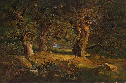 Forest landscape, , Alois Kirnig