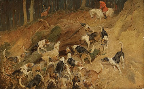 Gone to Ground, , John Charlton