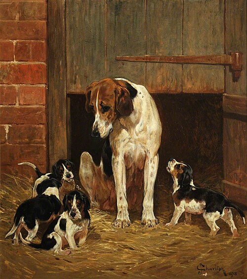 Foxhound and Litter, 1878, John Charlton