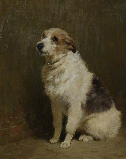 Portrait of 'Pilu', a Performing Dog, 1910, John Charlton