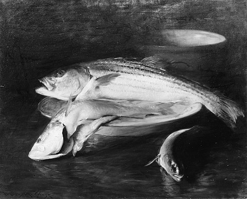 Fish, 1910, William Merritt Chase