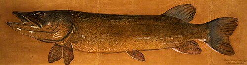 Pike, , Henry Thomson