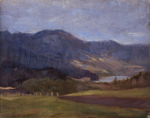 Fra Vågå 1894, 1894, Halfdan Egedius