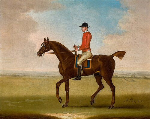 Mr John Martindale’s 'Sedbury', with Jockey Up, , James Seymour