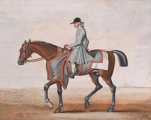 Lord Godolphin's White Foot, a Very Famous Horse That Was Never Beat, , James Seymour