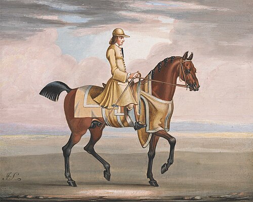 A Chestnut Horse at Exercise, , James Seymour