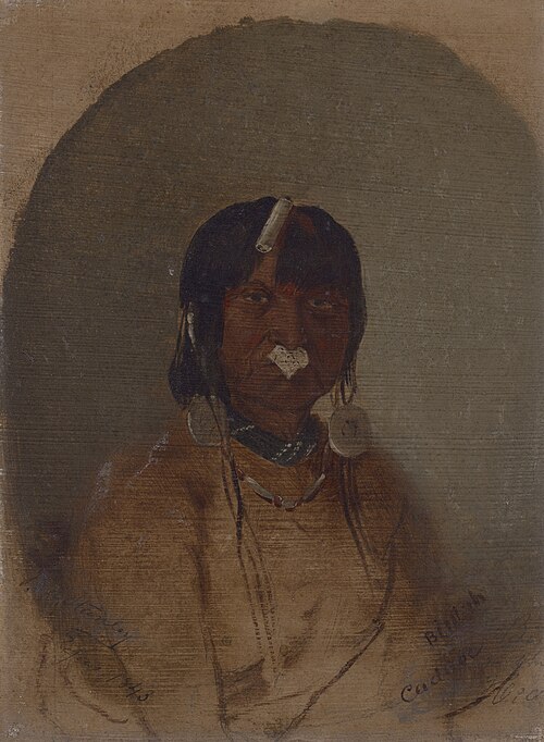 Bin-Tah, The Wounded Man, 1843, John Mix Stanley