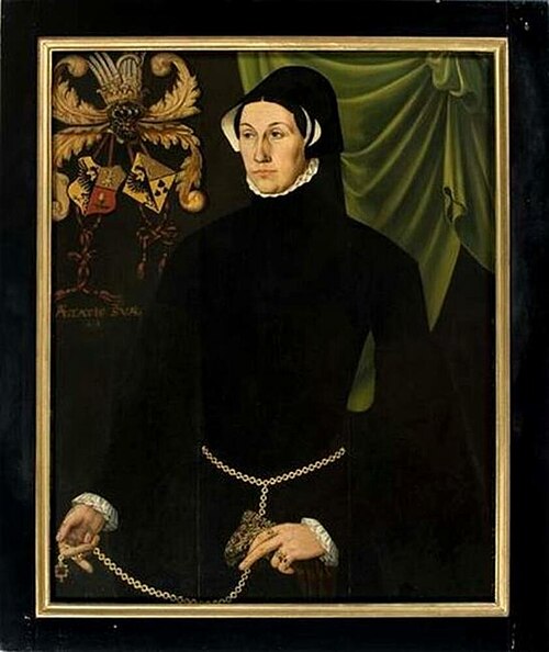 Portrait of Foockel van Martena, 1565, Adriaen van Cronenburg