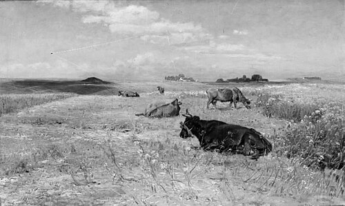 Køer på en mark, 1891, Thorvald Niss