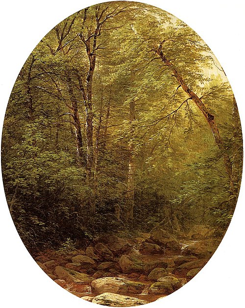 Au-dessus de la cascade, Catskill, 1862, John William Casilear