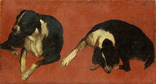 Two Studies of a Dog, 1705, Luca Carlevarijs