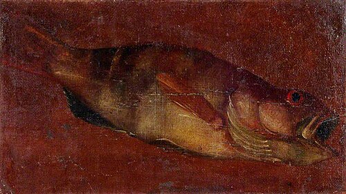 Study of a Fish, 1705, Luca Carlevarijs