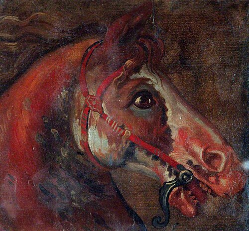 Study of a Horse's Head, 1705, Luca Carlevarijs