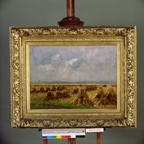 Korenschoven, 1899, Rinus Reus