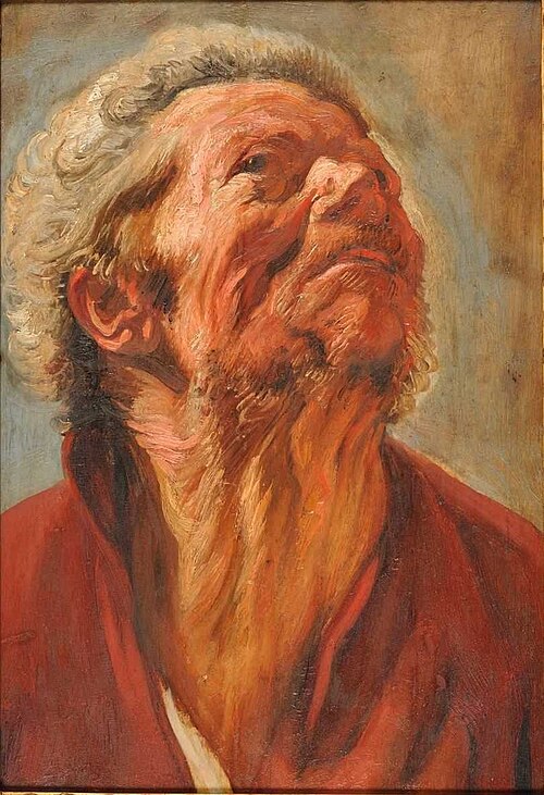 Tête d'étude, 1620, Jacob Jordaens