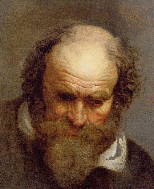 Head of an Old Man, , Jacob Jordaens