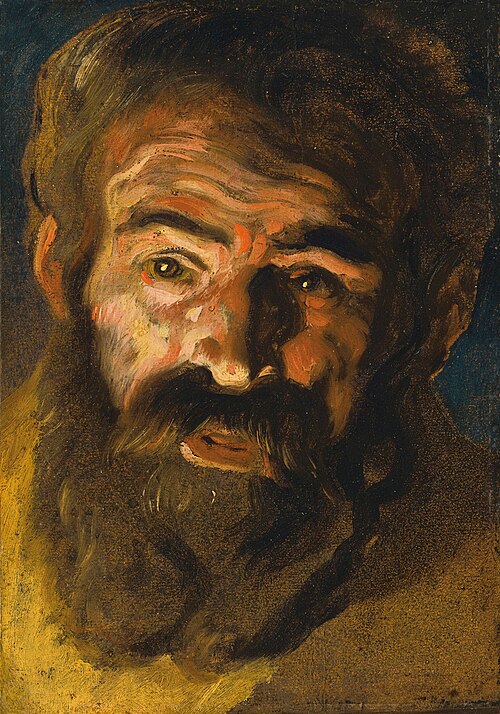 Study for the head of Saint Christopher, 1627, Jacob Jordaens