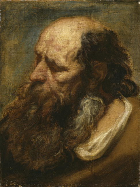 Portrait study of an old bearded man, 1640, Jacob Jordaens
