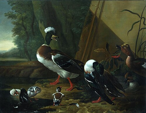 Eenden aan een plas, 1772, Jan Rombouts