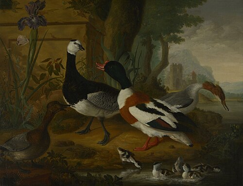 Eenden aan een plas, 1772, Jan Rombouts