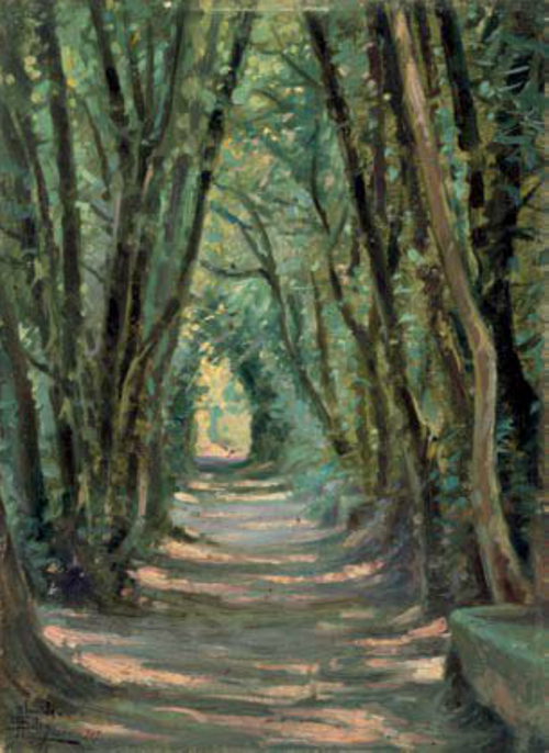 Parque do Fontelo - Alameda de Árvores, 1907, José de Almeida e Silva