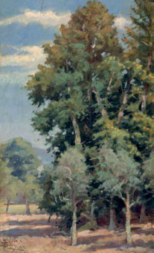 Parque do Fontelo - Árvores Frondosas, 1907, José de Almeida e Silva
