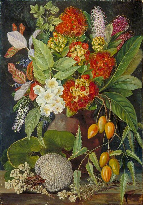 New Zealand Flowers and Fruit, 1881, Marianne North