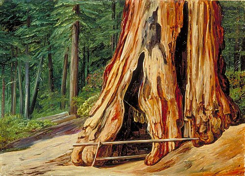Home of an Old Trapper in the Trunk of a Big Tree, Calaveras Grove, California, 1875, Marianne North