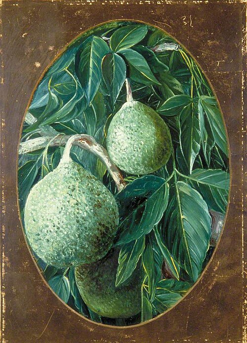 The Bael Fruit, 1878, Marianne North