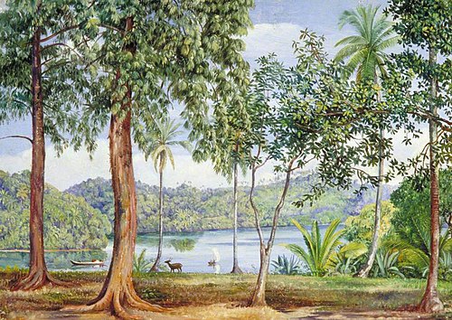 View from Kalutara, Ceylon, 1877, Marianne North