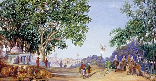 Bridge of Chittoore in Rajpootana, 1878, Marianne North