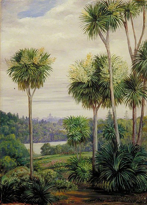 View of Melbourne from the Botanic Gardens, 1880, Marianne North