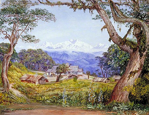 View of Kinchinjunga from Tonglo, 1878, Marianne North