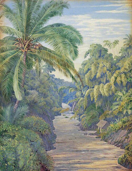 Views from the Bridge at Buitenzorg (Bogor), Java, 1876, Marianne North