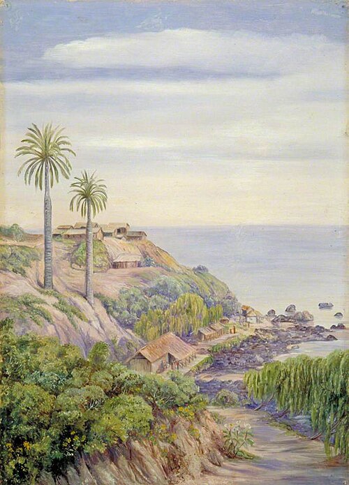View of Concon, Chili, with Its Two Palms, 1880, Marianne North