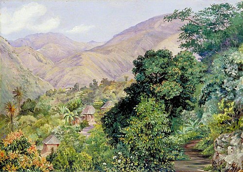 Distant View of Newcastle, Jamaica, 1872, Marianne North