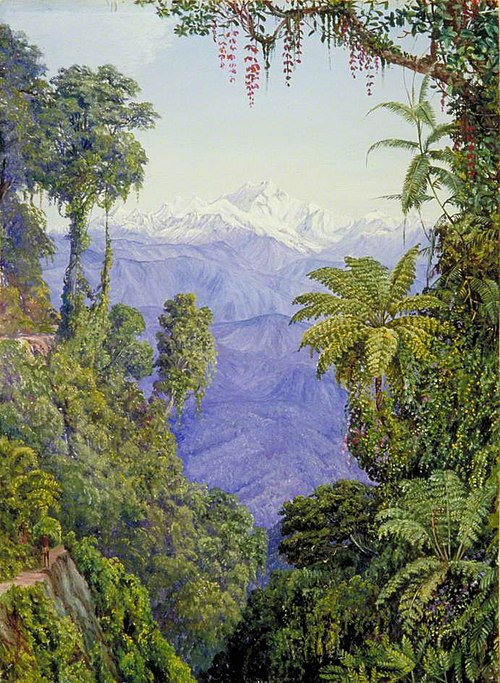 Distant View of Kinchinjunga from Darjeeling, 1878, Marianne North
