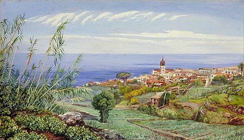 View of Icod, Teneriffe, 1875, Marianne North
