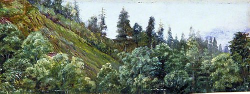 Pine-Clad Slopes of Nagkunda, North India, and View of the Distant Mountains, 1878, Marianne North