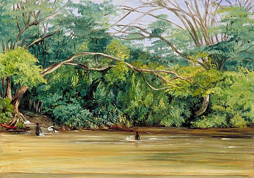 View of the Sandy River at Spanish Town, Jamaica, 1872, Marianne North