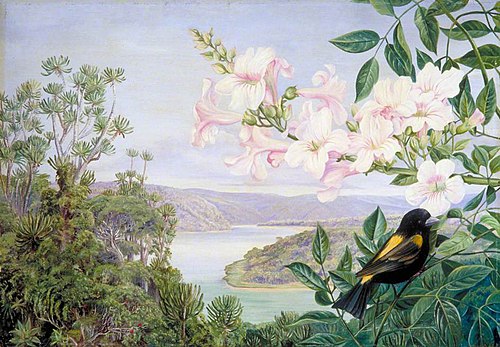 View on the Kowie River with Trumpet Flower in Front, 1882, Marianne North