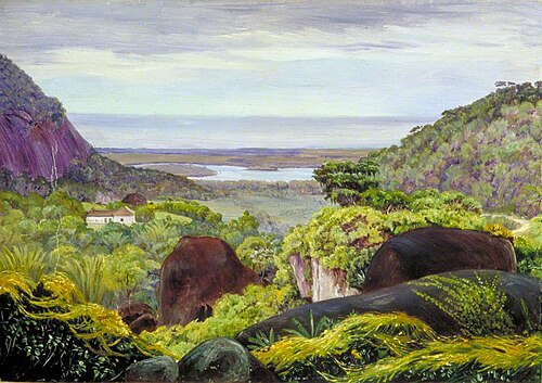 View near Tijuca, Brazil, Granite Boulders in the Foreground, 1873, Marianne North