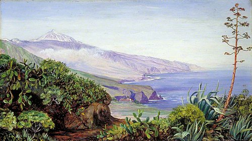 View of the Peak of Teneriffe, 1875, Marianne North