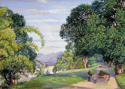 View at Peradeniya, Ceylon, 1877, Marianne North