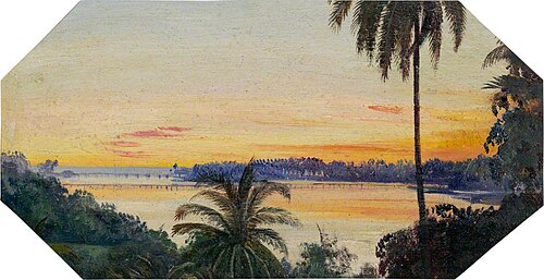 View from Kalutara, Ceylon (Sri Lanka), 1877, Marianne North